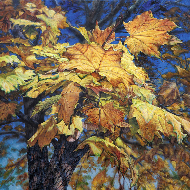 Autumn breeze