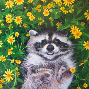 Trash Panda
