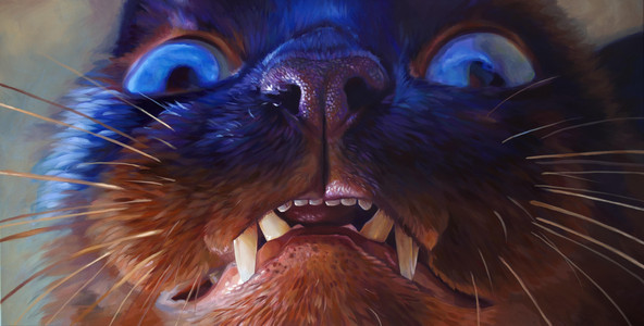 Teefs