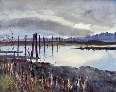 Early Spring at Widgeon Marsh