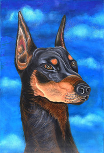 Doberman