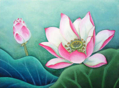 China lotus