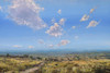 View #1