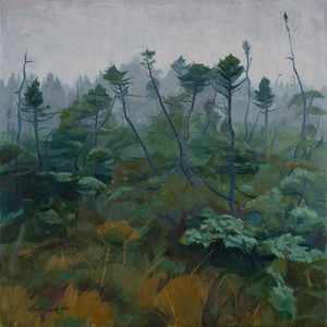 Highland Bog