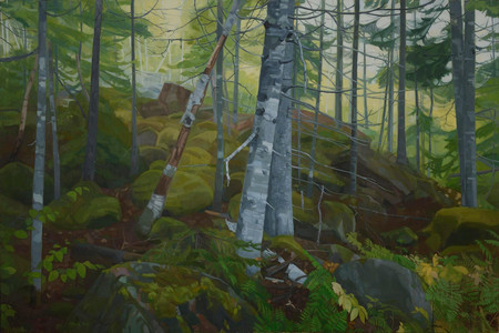 Mossy Forest