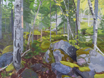 Mossy Forest II