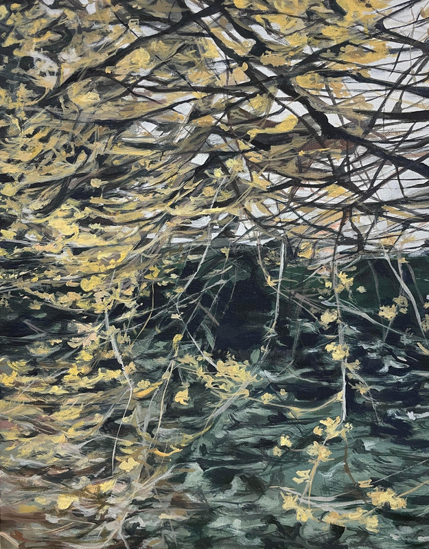 Yellow Blossoms