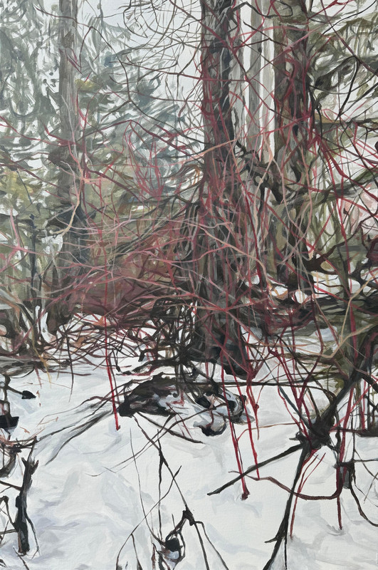 The Red Branches in the Snow