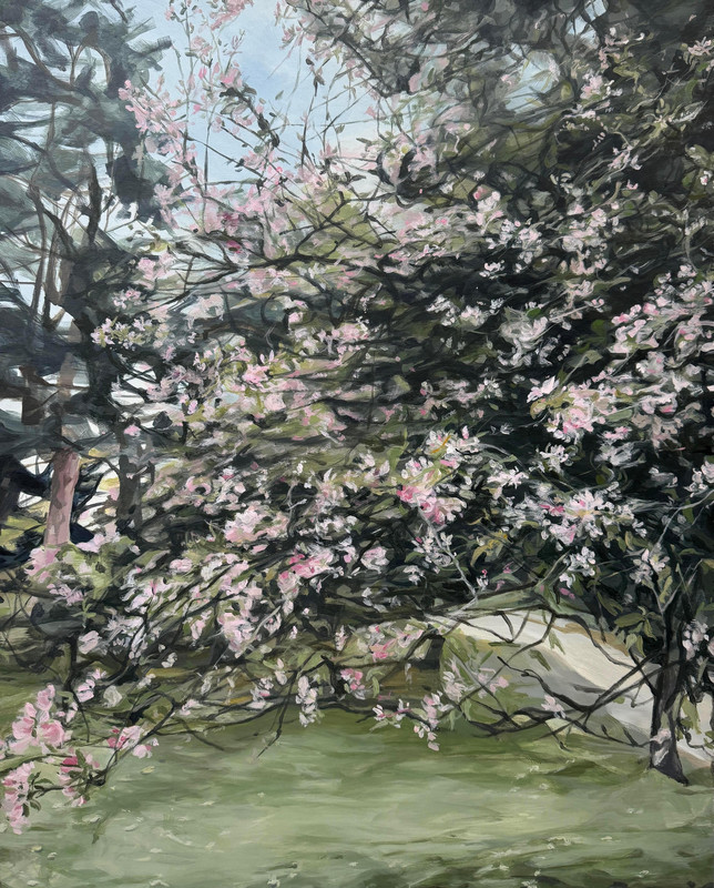 Spring in Queen Anne
