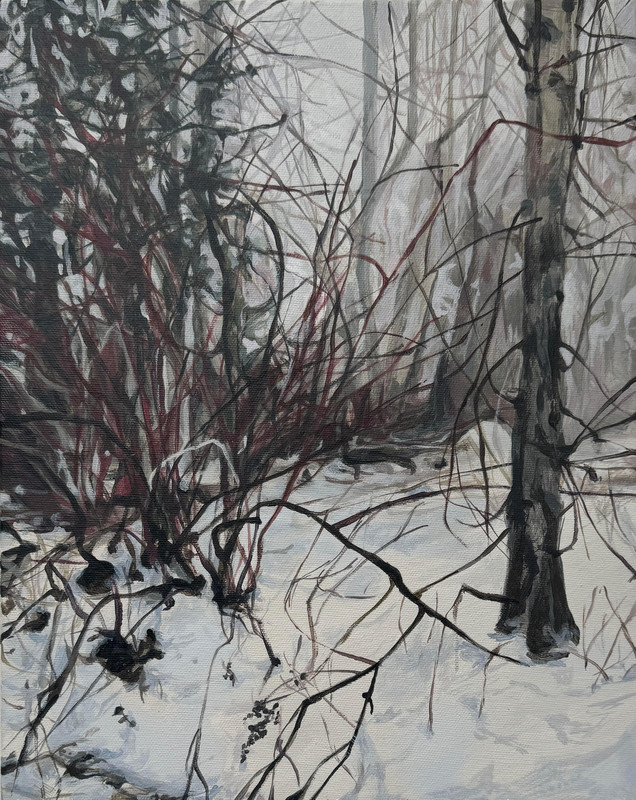 Walking in the Snow in Pemberton