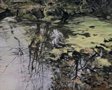 Reflections at Stanley Park
