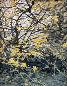 Closer Look at the Yellow Blossoms