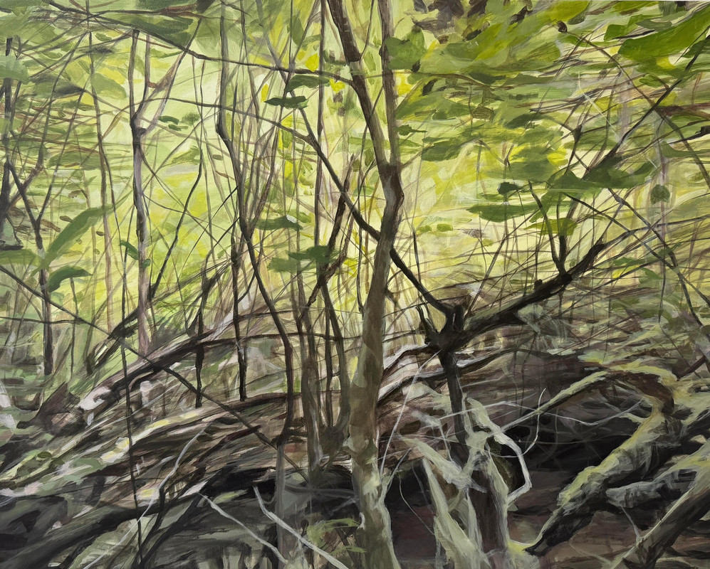 Entangled Branches