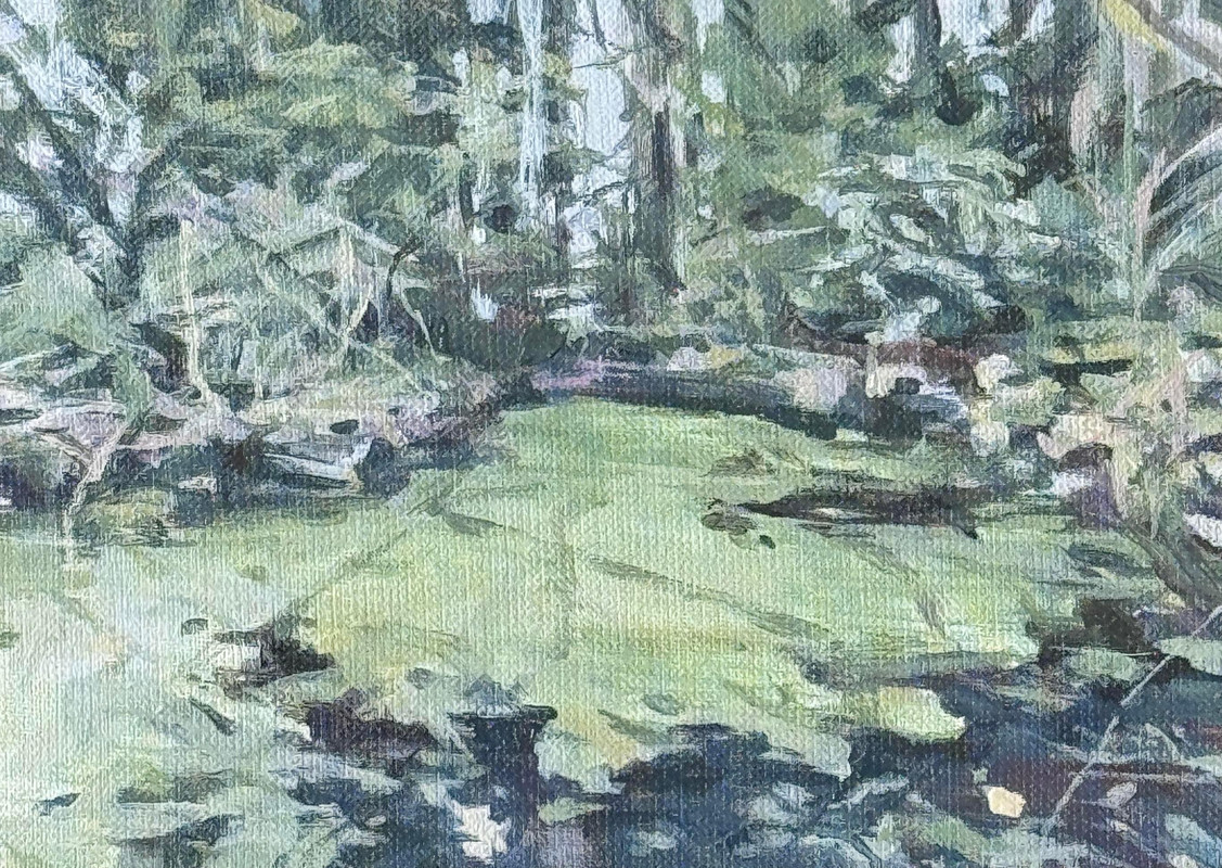 The Pond at Stanley Park