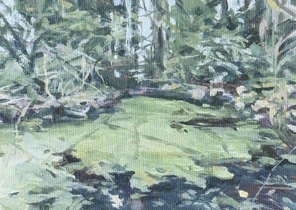The Pond at Stanley Park