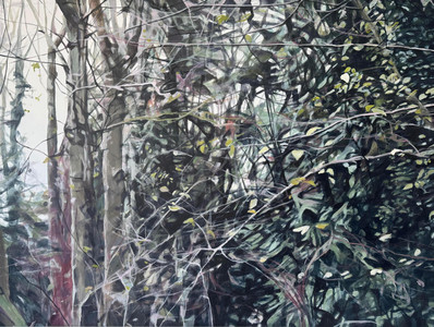 Leaves Dancing Amongst Branches
