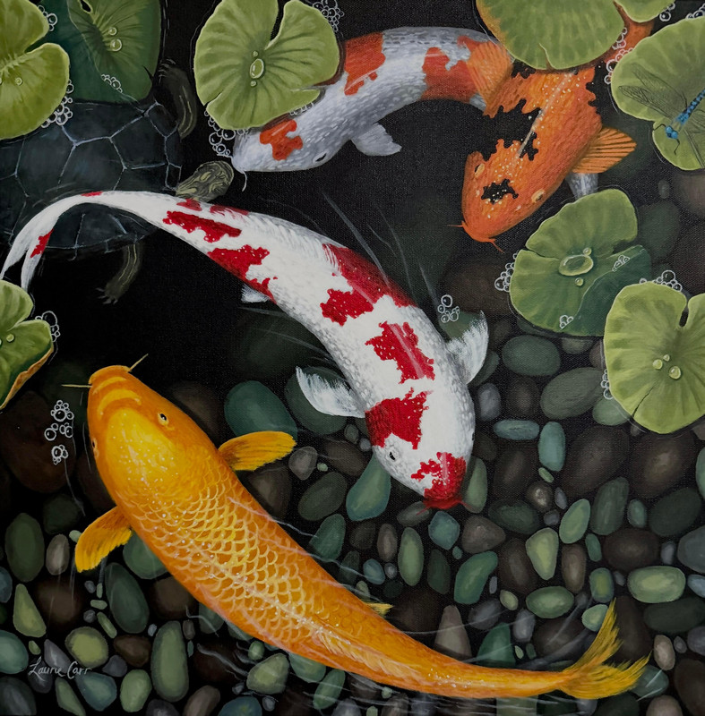 Gold Fish In A Koi Pond