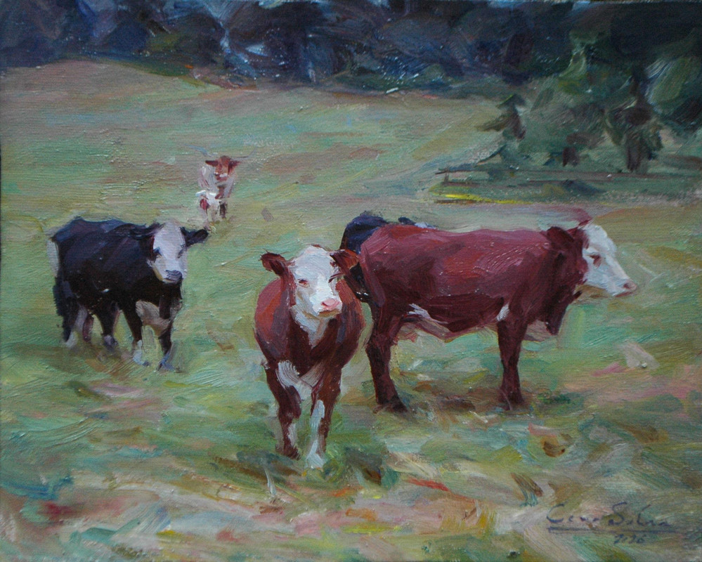 Lochside Pastures