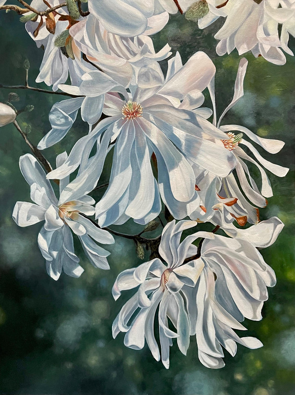 Cascading Bloom