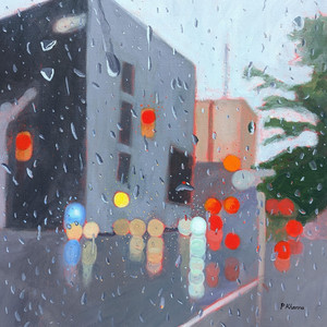 Raindrop Reverie