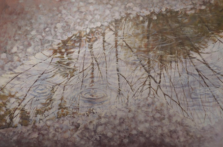 Moment in Time after the rain in my gravel driveway - a puddle, a reflection and rain drops