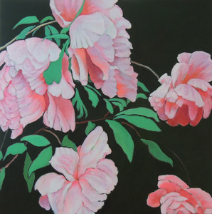 From my Neighbours front yard