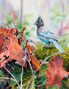 Stellar Jay: Signs of Fall