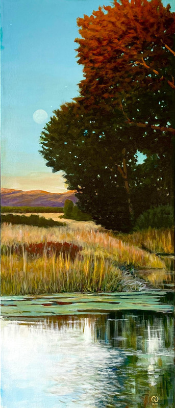 Marigold Sunset