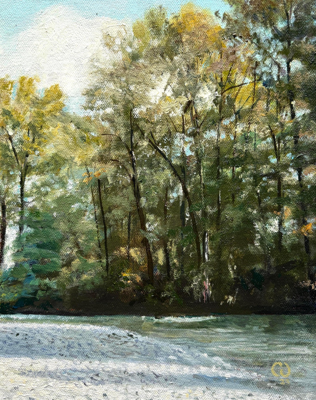Lynn Creek shadows