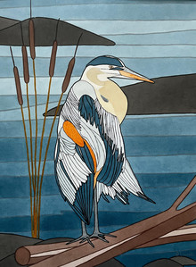 Great Blue Heron(a)!
