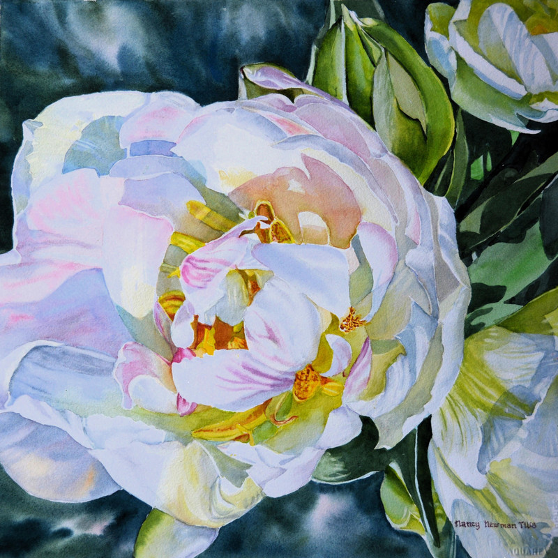 Tenacious Tulip