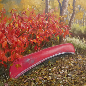 Tippy the Wonder Canoe