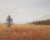 View #1
