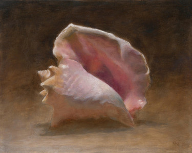 Queen Conch