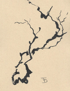 Reaching Up