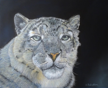 Snow Leopard