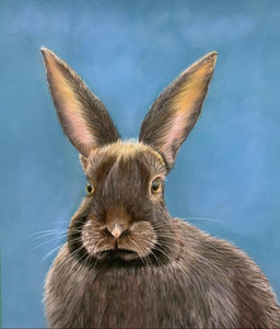 Where's My Carrot?