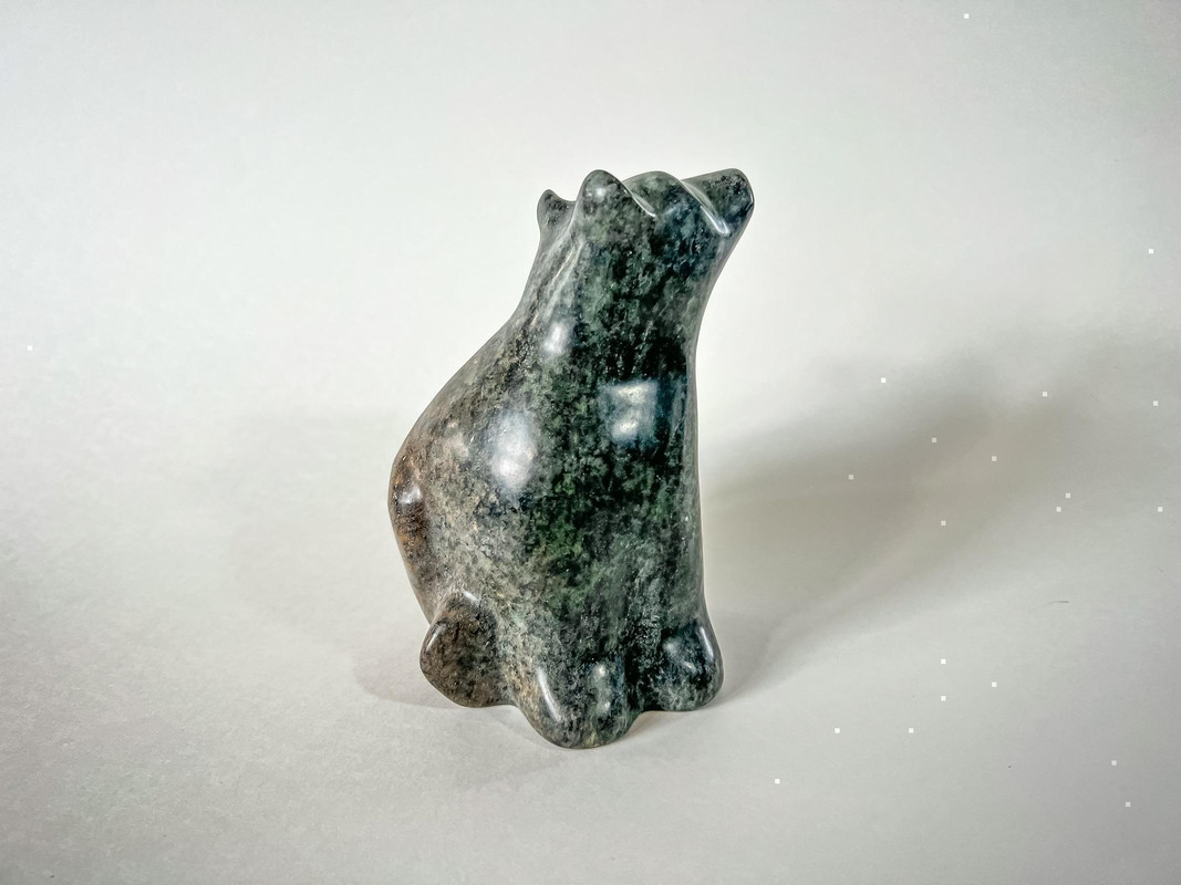 Curious Bear