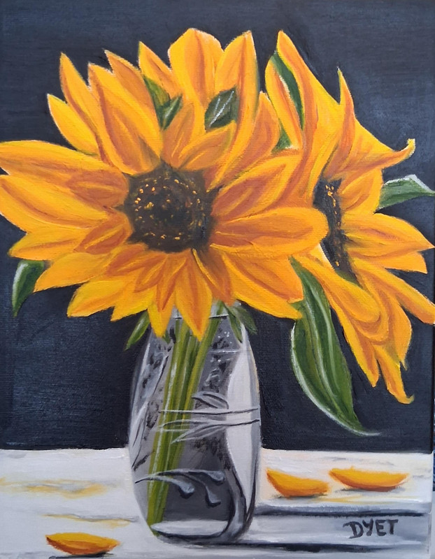 Sun's Embrace