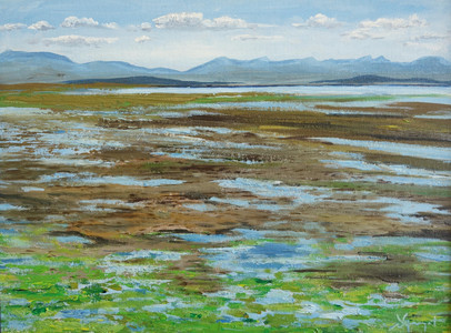 Iona Beach at low tide