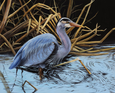 Blue Heron