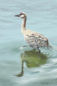 Sandhill Crane - Reflections