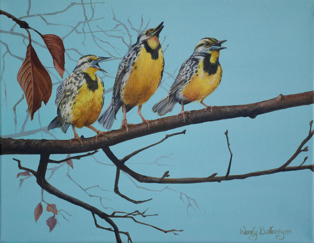 Meadowlark Trio