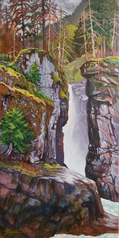 Narin Falls - Moss & Rock #1