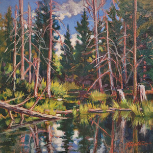 Beaver ponds & beyond
