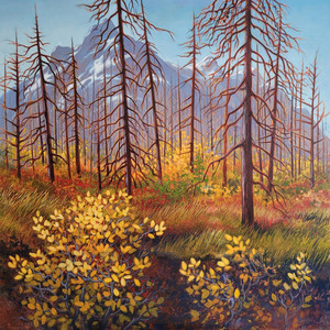 Autumn &ndash; below the burn. Waterton