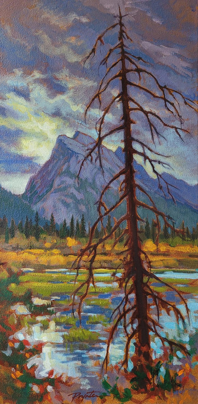 Rundle / snag before dawn. Banff