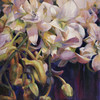 View #1