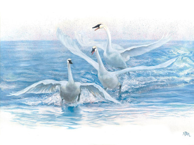 Splashdown