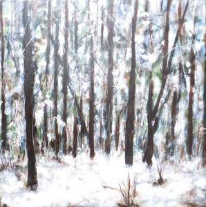 New Snow 1